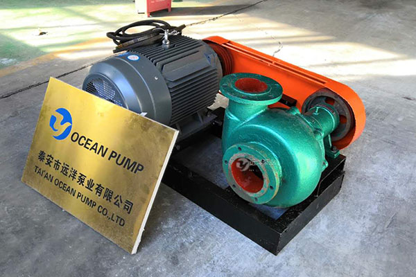 遠(yuǎn)洋牌6PS小型抽沙機(jī)