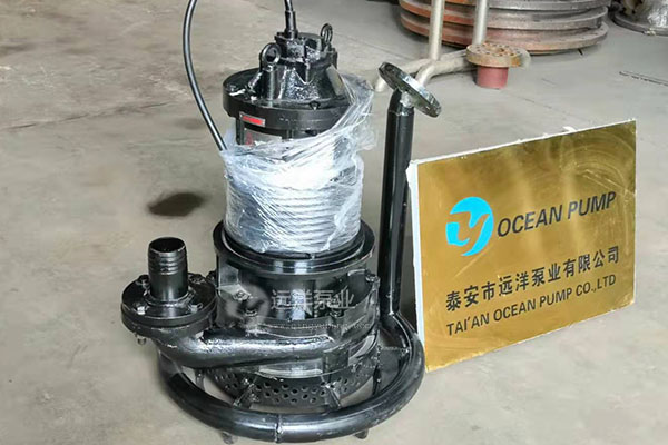 遠(yuǎn)洋牌潛水泥沙泵樣圖
